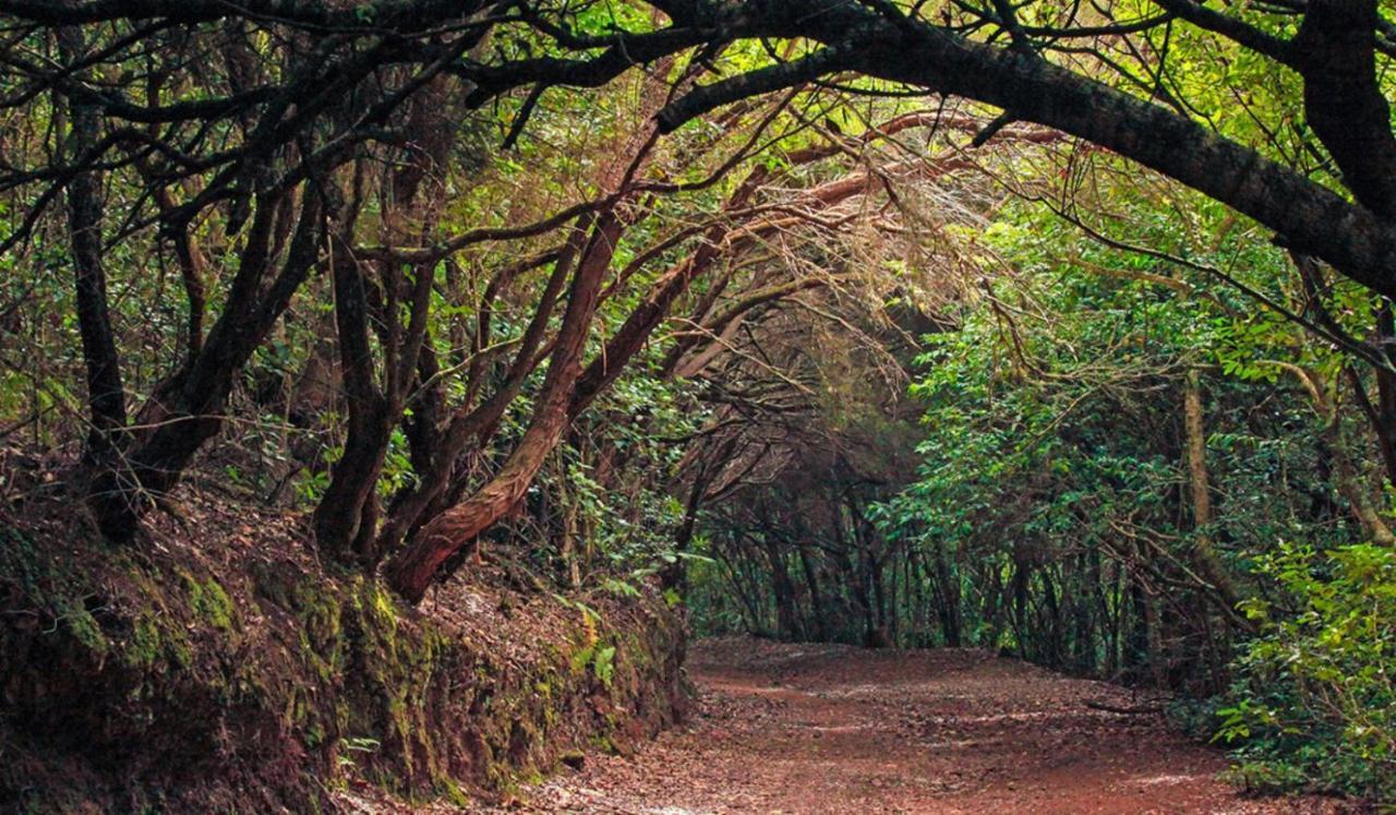 Almendro Villa Arico Viejo ภายนอก รูปภาพ